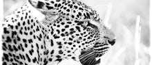 Coffee Mug BW03 Leopard