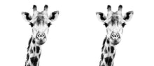Coffee Mug BW08 Giraffe
