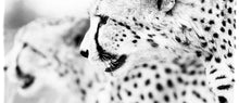 Coffee Mug BW16 Cheetah