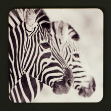 Coasters
