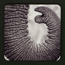 Coasters