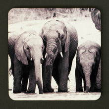 Coasters