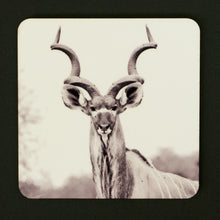 Coasters