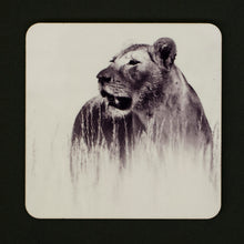 Coasters