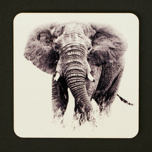 Coasters