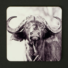 Coasters