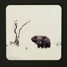 Coasters