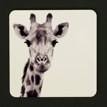 Coasters