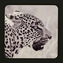 Coasters