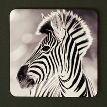 Coasters