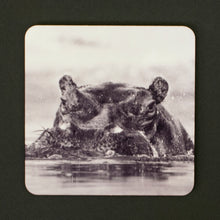 Coasters