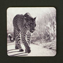 Coasters