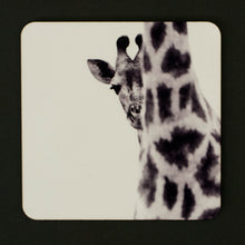 Coasters