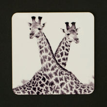 Coasters