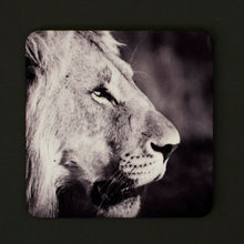 Coasters