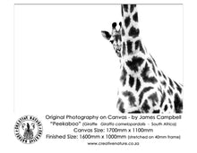 Large Format Canvas - Peekaboo