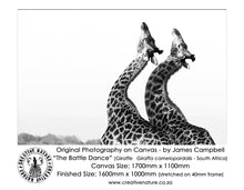 Large Format Canvas - The Battle Dance