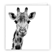 Special Pack 1 - Large Greeting Cards - 10 Assorted