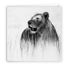 Special Pack 2 - Large Greeting Cards - 10 Assorted