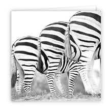 Special Pack 2 - Large Greeting Cards - 10 Assorted