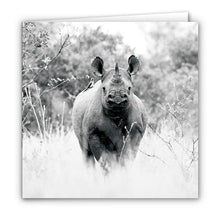 Special Pack 1 - Large Greeting Cards - 10 Assorted