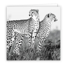 Special Pack 1 - Large Greeting Cards - 10 Assorted