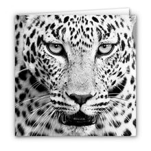 Special Pack 2 - Large Greeting Cards - 10 Assorted