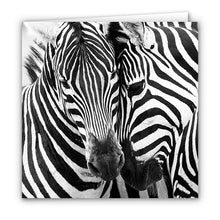 Special Pack 1 - Large Greeting Cards - 10 Assorted