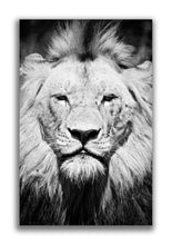 Large Format Canvas - The King