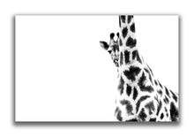 Large Format Canvas - Peekaboo