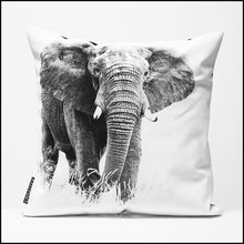Cushion Cover SC BW 06 African Elephant