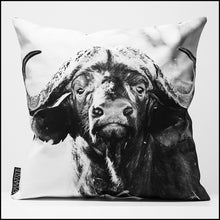 Cushion Cover SC BW 22 Buffalo