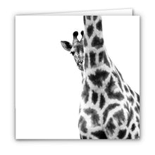 Special Pack 1 -Small Greeting Cards - 10 Assorted