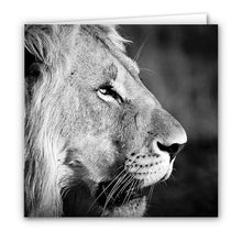 Special Pack 2 - Small Greeting Cards - 10 Assorted