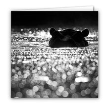 Special Pack 2 - Small Greeting Cards - 10 Assorted