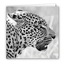 Special Pack 1 -Small Greeting Cards - 10 Assorted