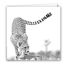 Special Pack 1 -Small Greeting Cards - 10 Assorted