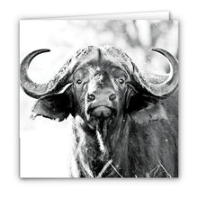 Special Pack 1 -Small Greeting Cards - 10 Assorted