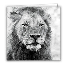 Special Pack 1 -Small Greeting Cards - 10 Assorted