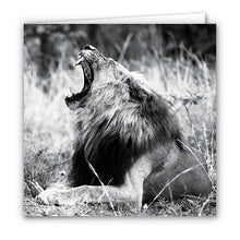 Special Pack 2 - Small Greeting Cards - 10 Assorted