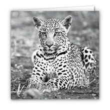 Special Pack 2 - Small Greeting Cards - 10 Assorted