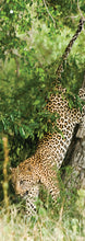 Bookmarks