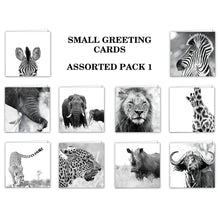 Special Pack 1 -Small Greeting Cards - 10 Assorted
